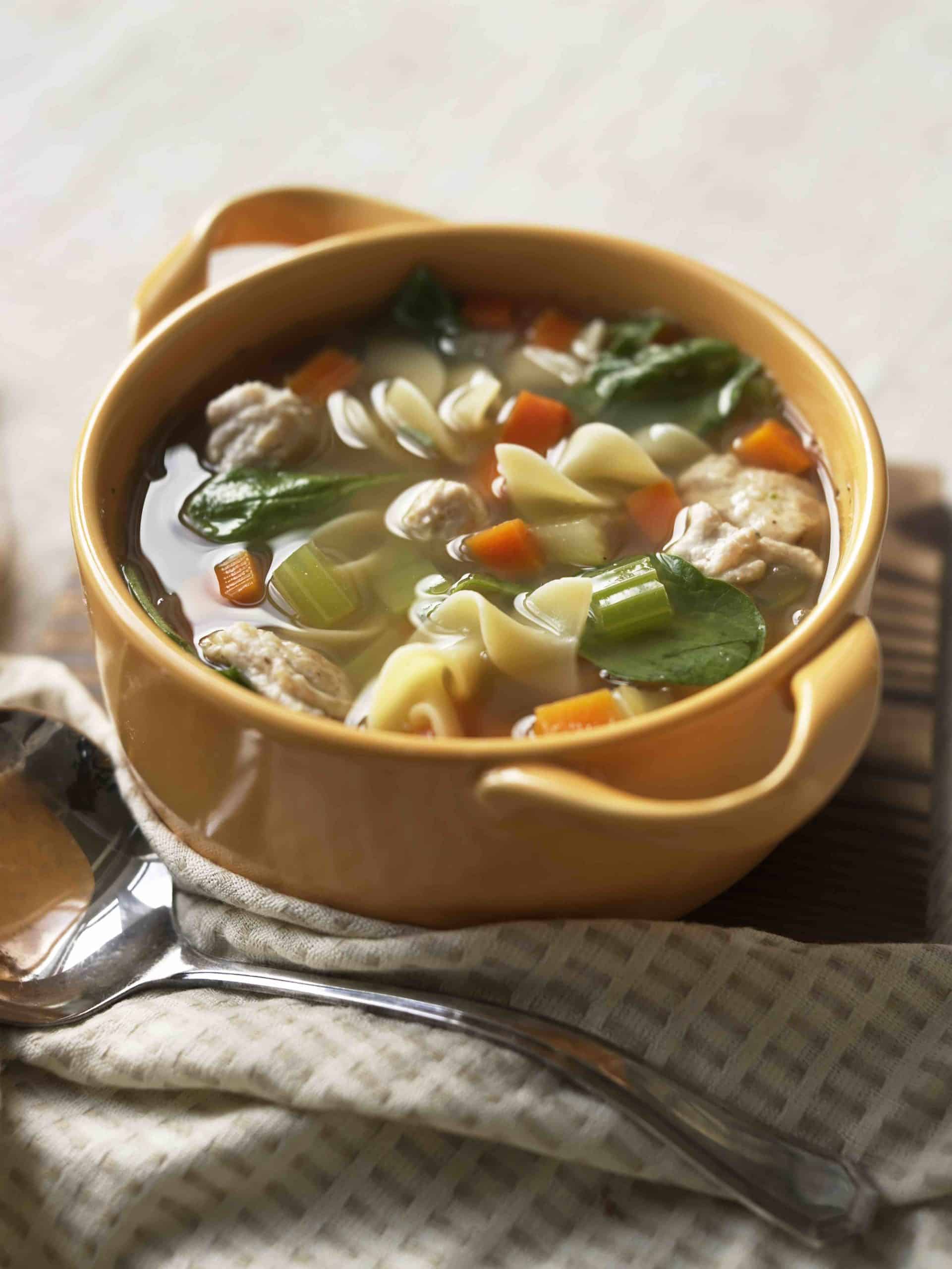 Turkey Noodle Soup