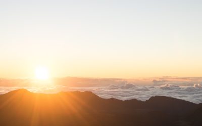Proaktive Gesundheitsfürsorge mit digitalen Lösungen
