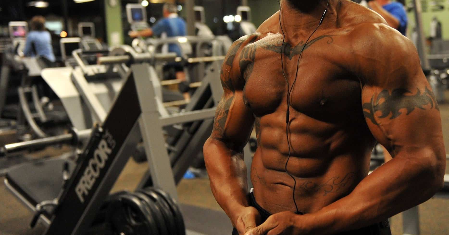 bodybuilder-646506_1920