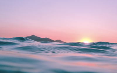 Noom veröffentlicht 2. Jahresbericht zu gesunden Verhaltensweisen