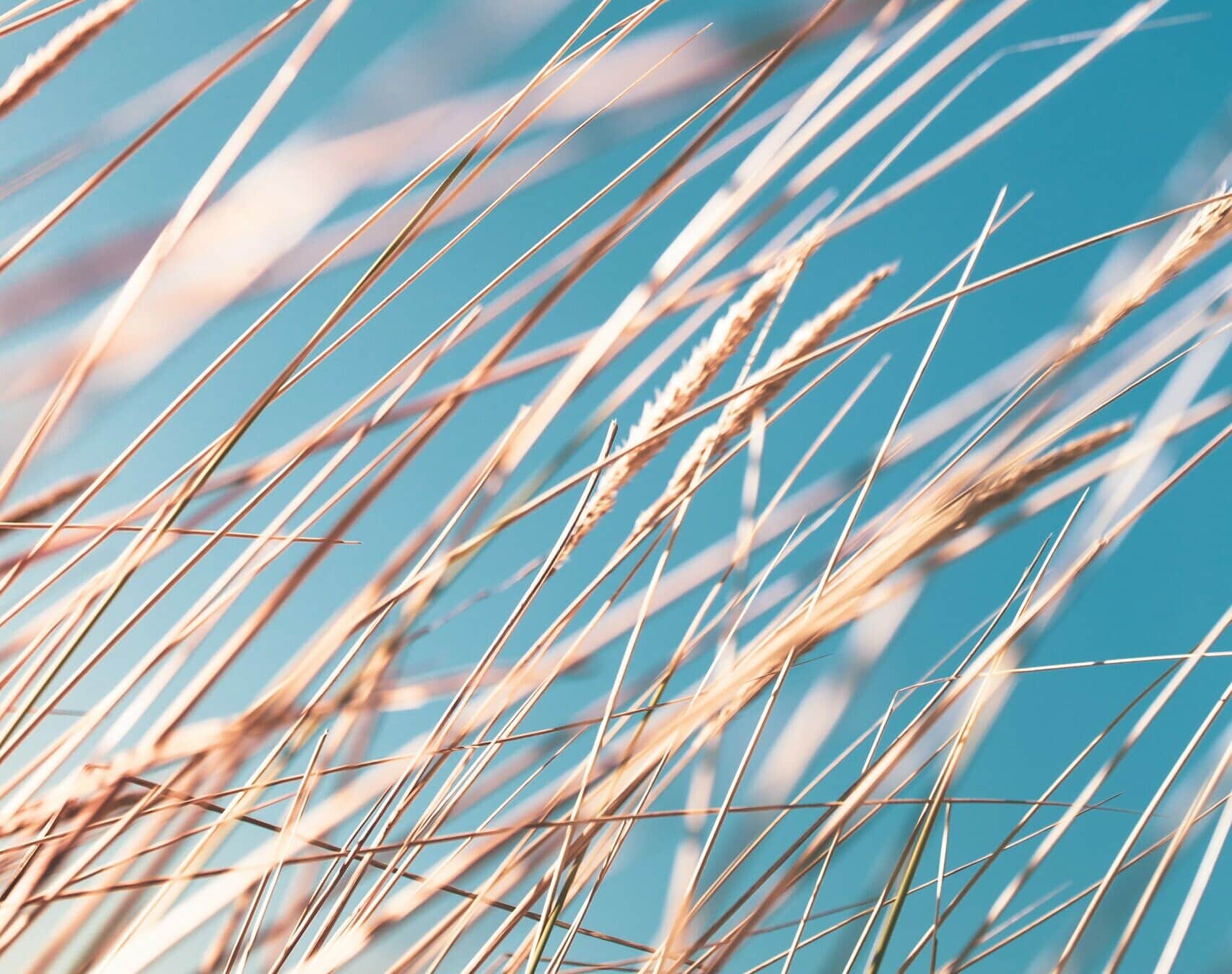 marek-piwnicki-oSIl84tpYYY-unsplash