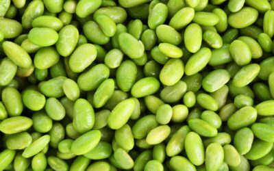 Is edamame good for weight loss? What you need to know
